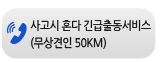 혼다자동차 D3모터스 